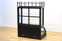 稀少ブラックカラー‼ディスプレイが映えるデザイン性の高いガラスケース BB2218