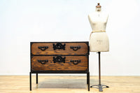 杢目が引き立つアイアンフレーム付き衣裳箪笥 BB2476