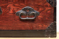 稀少!! 見栄えのする蕪の装飾金具で趣き深い庄内衣裳箪笥 BB2561