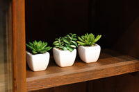 Retro Furniture BB2864