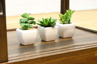 昭和レトロ‼ディスプレイが愉しめる五面ガラスケース BB2931