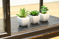 時代の雰囲気も楽しめる味わい深い五面ガラスケース BB2932