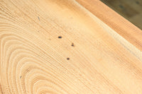 カウンターに!!木地の美しさがディスプレイを引き立てるガラスケース BB3026