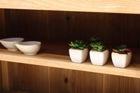 カウンターに!!木地の美しさがディスプレイを引き立てるガラスケース BB3026