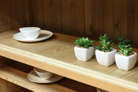 幅900ミリ!! 温かみのある木地色のレトロガラスケース BB3115