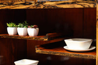 美しいけやきと黒柿杢目の風情溢れる極上茶箪笥 BB3117