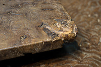 Kanto Hibachi BB3284