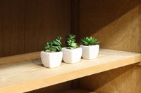 幅1222ミリ‼︎木地色の美しい風合いをした上質なレトロガラスケース BB3336