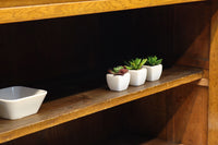 シンプル装飾でレトロな雰囲気あるガラスケース(脚付き) BB3372