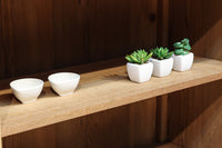 温もり溢れる木地色のオークレトロガラスケース BB3383