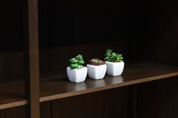 Retro Furniture BB3536