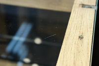 Glass case BB3678