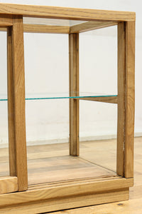 Glass case BB3698