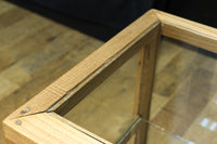 Glass case BB3698