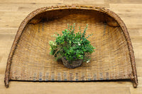 Antique Tools DC3744