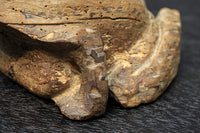 佇まいも可愛らしい木製のカエルの置物 DC4053