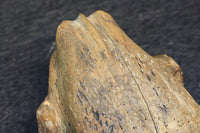 佇まいも可愛らしい木製のカエルの置物 DC4053