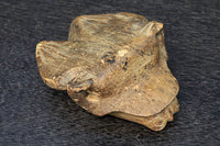 佇まいも可愛らしい木製のカエルの置物 DC4053