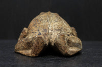 佇まいも可愛らしい木製のカエルの置物 DC4053