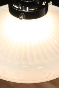 縁周りの花型プレス模様が可愛らしい電笠 DC4564