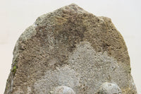 Antique tools DC5202