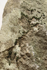 Antique tools DC5202