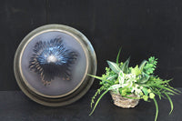 特大サイズ‼ 切子模様で和の趣きある電灯カバー DC5417