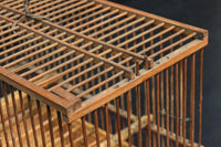 Antique tools DC5683