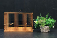 Antique tools DC5683