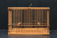 Antique tools DC5683