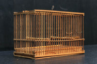 Antique tools DC5683