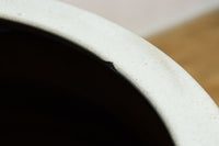 緑色の柔らかな縦縞柄が趣きある信楽焼の大きなカメ DC5784