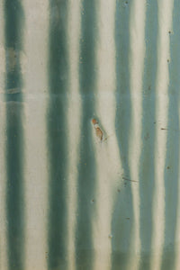 緑色の柔らかな縦縞柄が趣きある信楽焼の大きなカメ DC5784