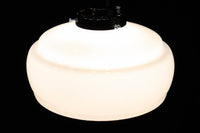 和の趣きを感じられる電笠 DC5871