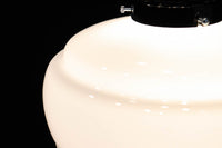 和の趣きを感じられる電笠 DC5871