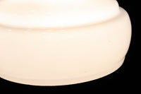 和の趣きを感じられる電笠 DC5871