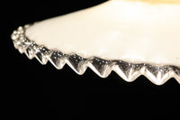 透明のフリルが優しく煌めく電笠 DC5930