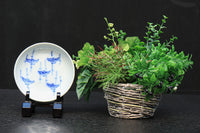 竹雀の絵柄が可愛らしい小皿 DC6020 在庫22枚