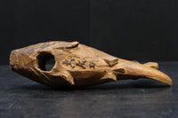 Antique tool (Jizai-kagi parts) DC6052