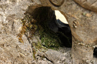 Chicken stone statue set DC6065