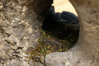 Chicken stone statue set DC6065