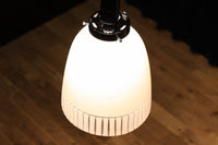 Lamp Shades DC6101