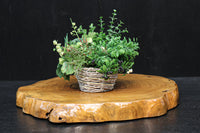 Antique tools DC6489