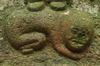 険しく睨む表情をみせる馬頭観音像 DC6570