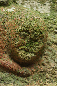 険しく睨む表情をみせる馬頭観音像 DC6570