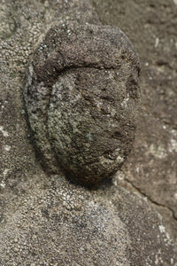 Antique Tools DC6579