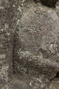 Antique Tools DC6579