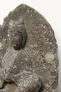 Antique Tools DC6579