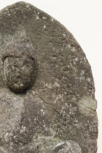 Antique Tools DC6579