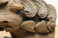 時代の枯れた味わいに包まれた象の木鼻 DC6705